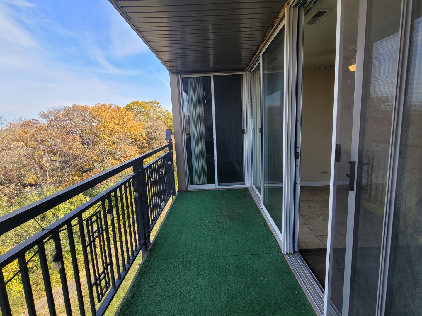 6010 oakwood Drive #5B, Lisle, IL 60532