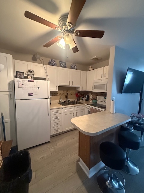 3170 W Monroe Street #309, Waukegan, IL 60085