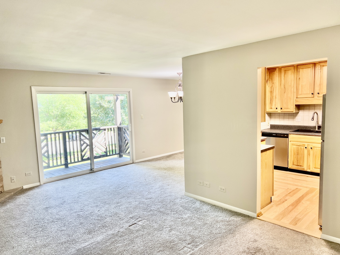 1485 Johnstown Lane #C, Wheaton, IL 60189