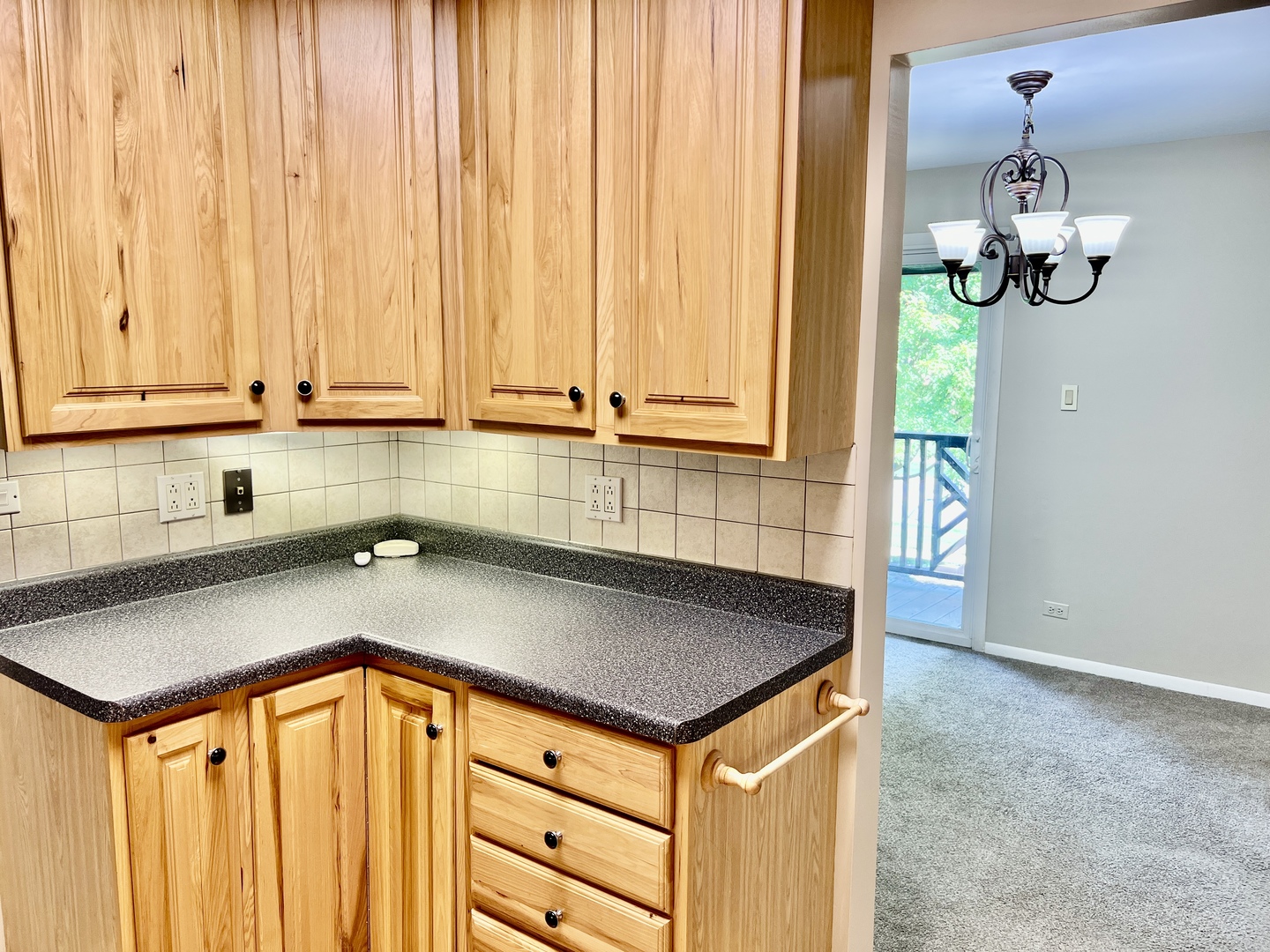 1485 Johnstown Lane #C, Wheaton, IL 60189