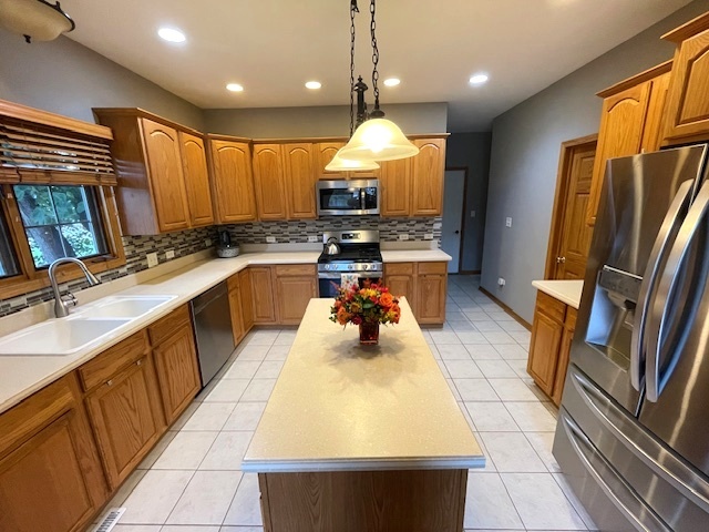 25200 W Pawnee Lane, Channahon, IL 60410