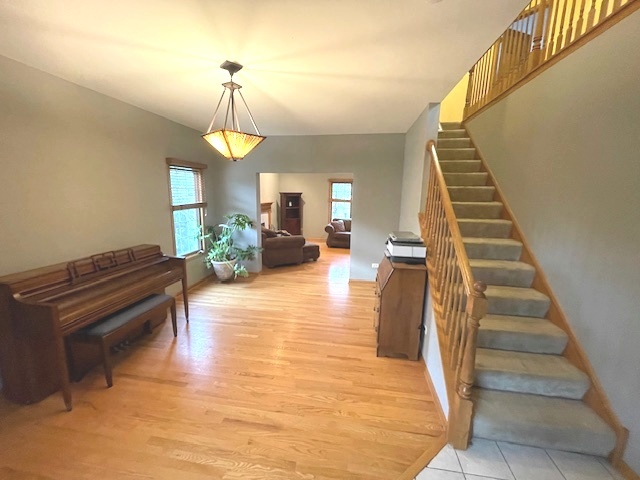 25200 W Pawnee Lane, Channahon, IL 60410