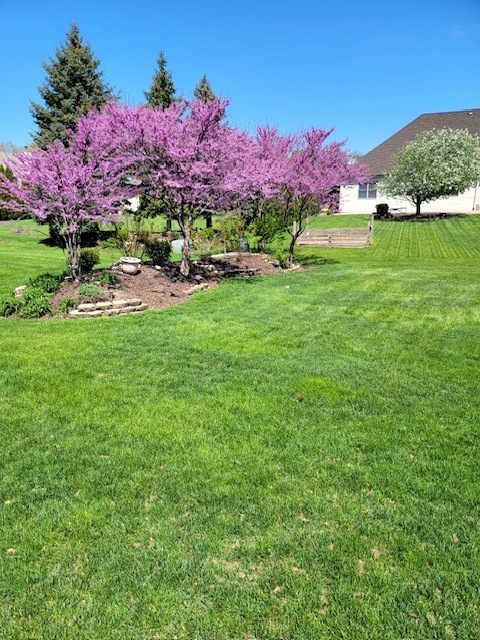 25200 W Pawnee Lane, Channahon, IL 60410