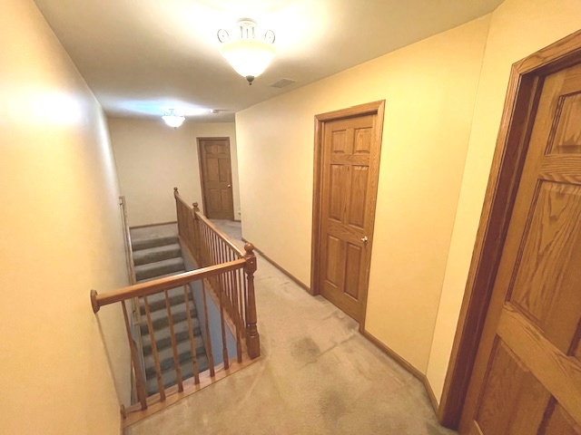 25200 W Pawnee Lane, Channahon, IL 60410