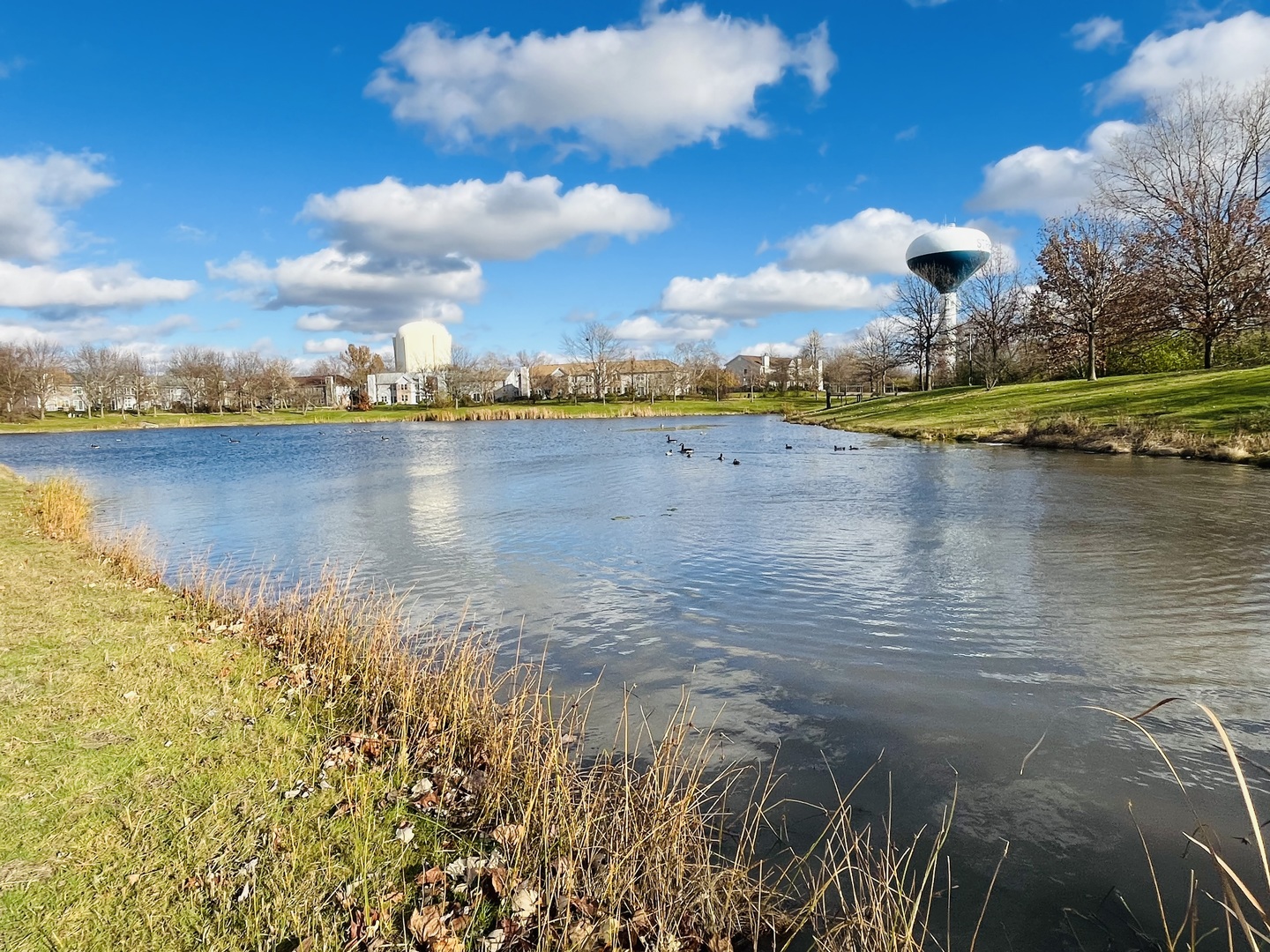 160 Holmes Way #160, Schaumburg, IL 60193