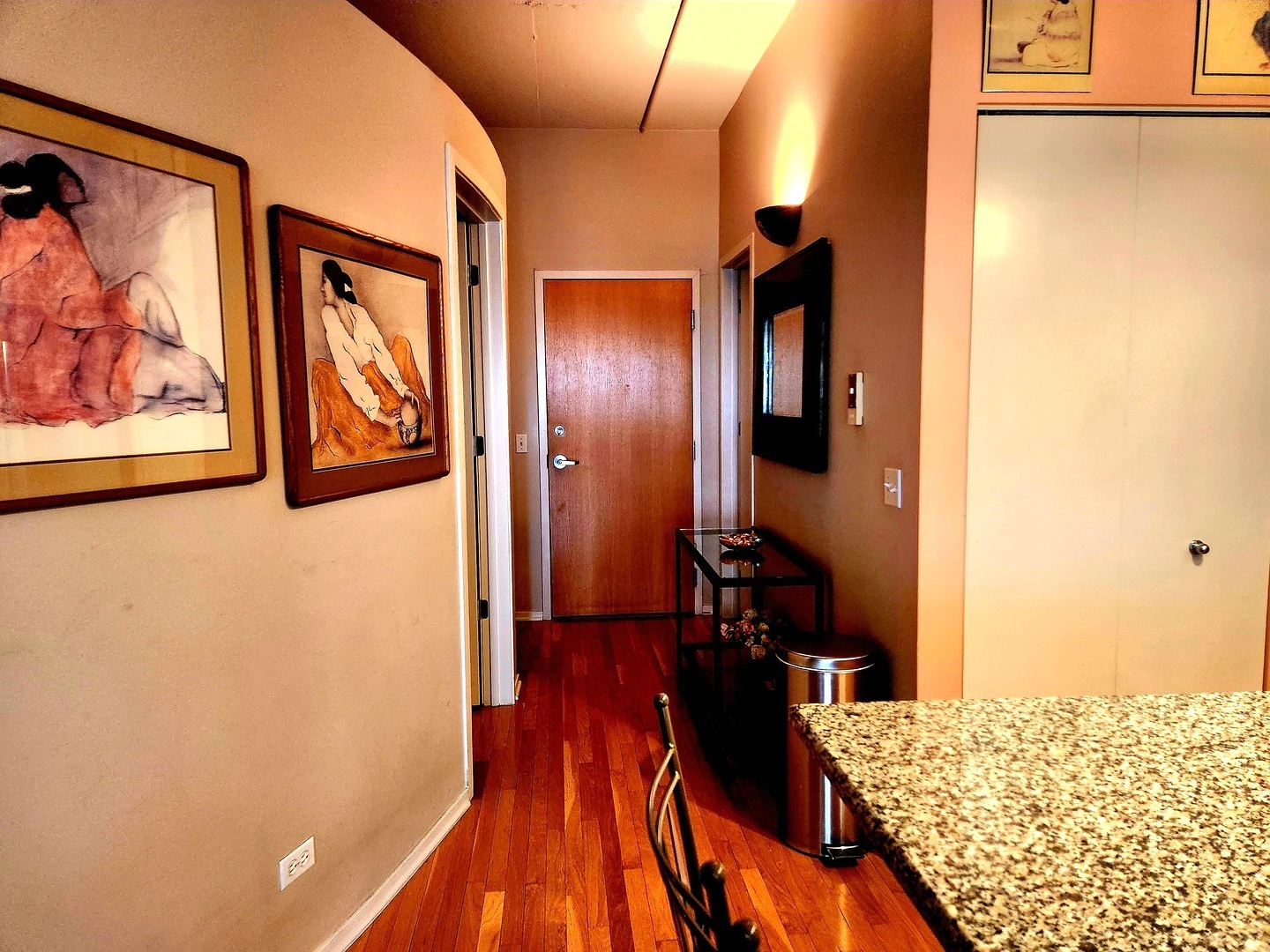 1530 S State Street #17R, Chicago, IL 60605