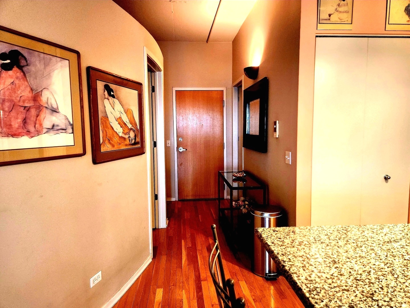 1530 S State Street #17R, Chicago, IL 60605