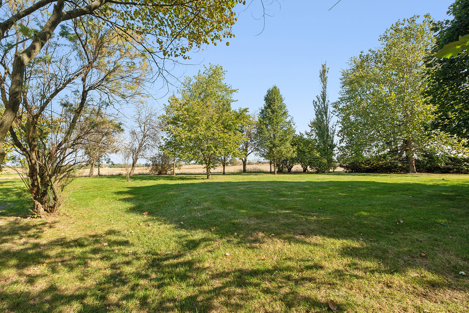 26811 S Kankakee Street, Manhattan, IL 60442