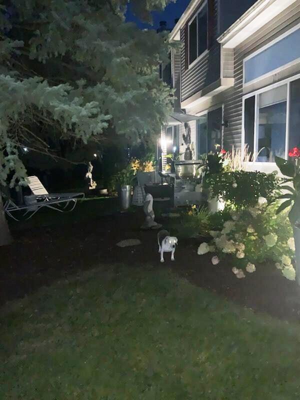 171 Sierra Pass, Schaumburg, IL 60194