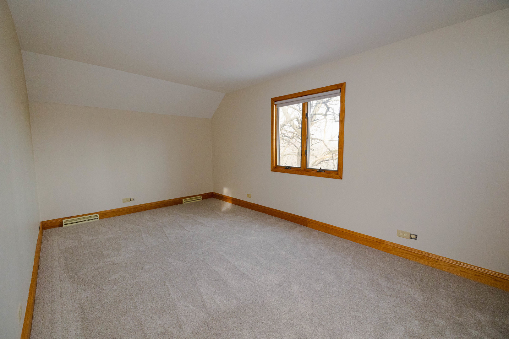 3161 E Bending Creek Trail, Crete, IL 60417