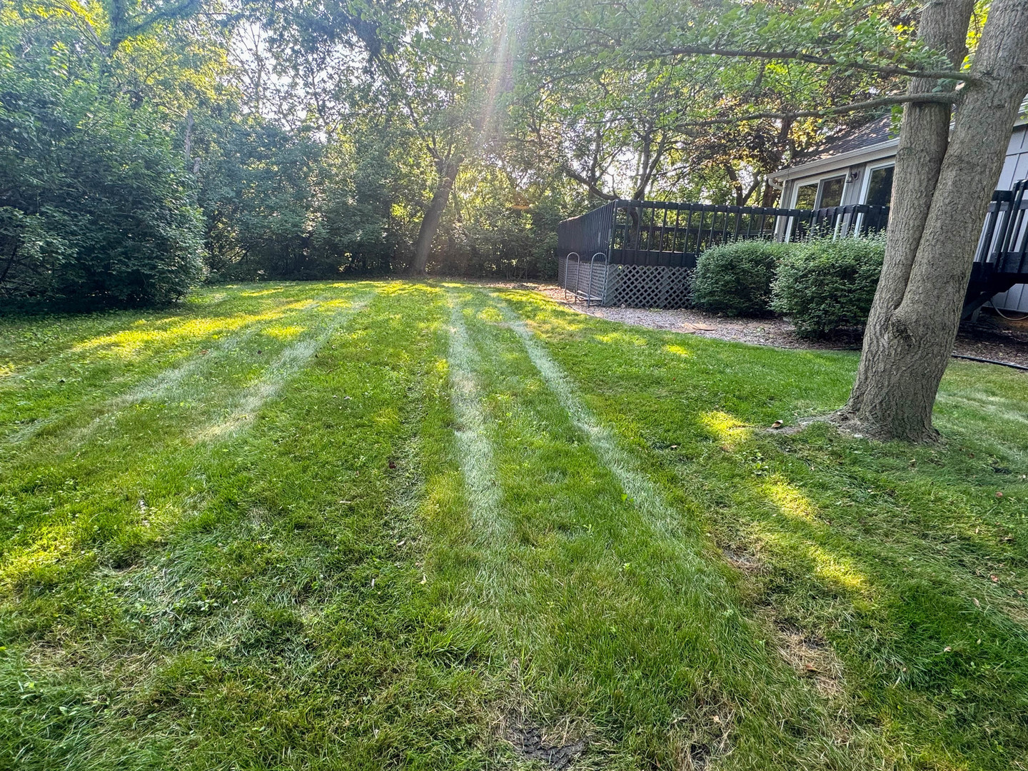 3161 E Bending Creek Trail, Crete, IL 60417