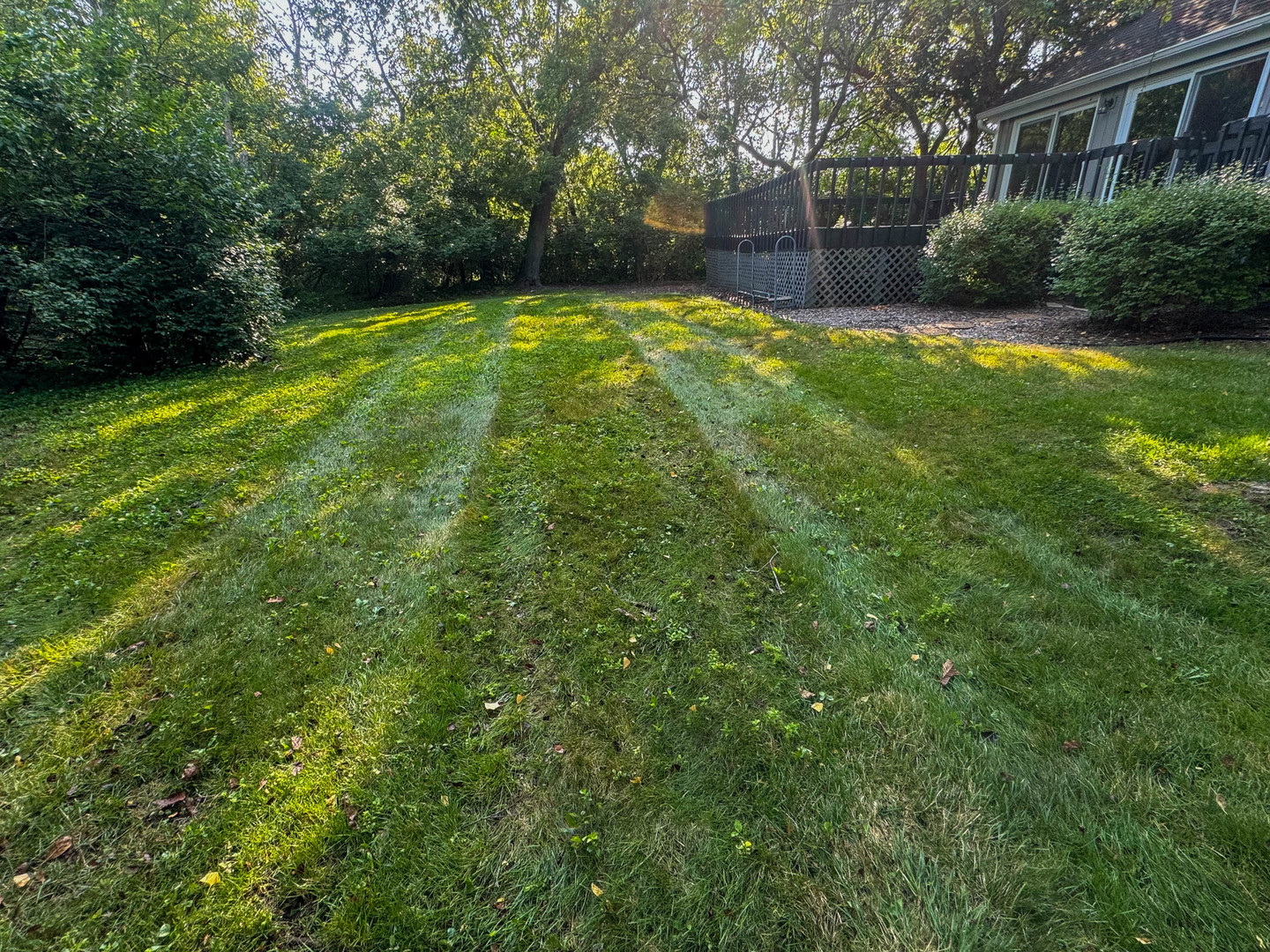 3161 E Bending Creek Trail, Crete, IL 60417