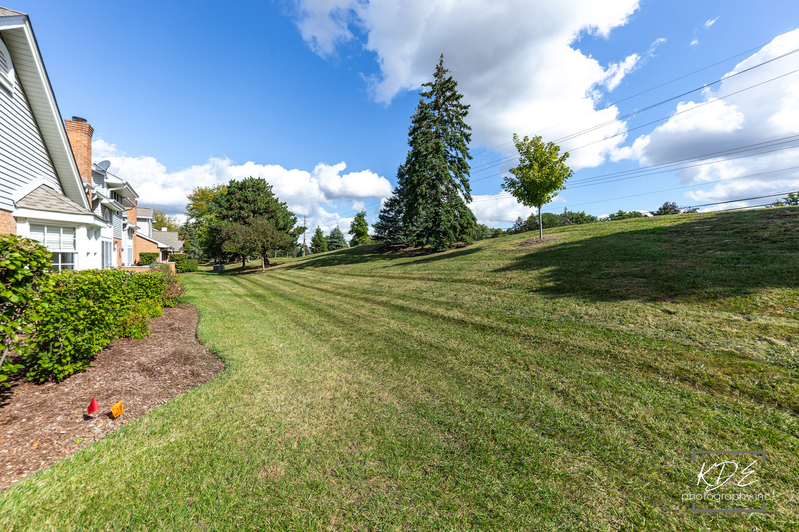 8557 Sandalwood Drive, Darien, IL 60561