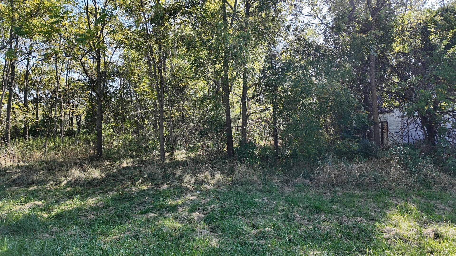 22031 W Spruce Drive, Antioch, IL 60002