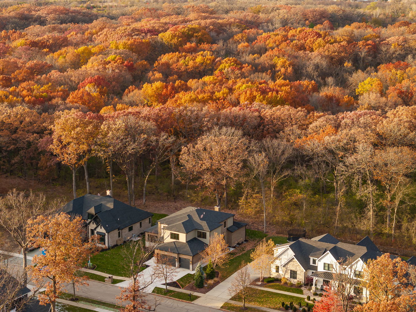 1528 Linden Circle, Lemont, IL 60439