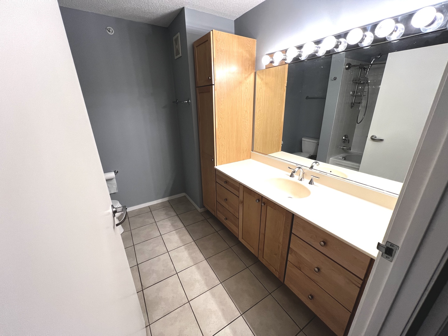 9655 Woods Drive #1405, Skokie, IL 60077