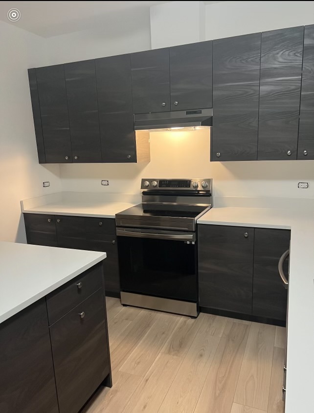 1930 Sherman Avenue #1N, Evanston, IL 60201