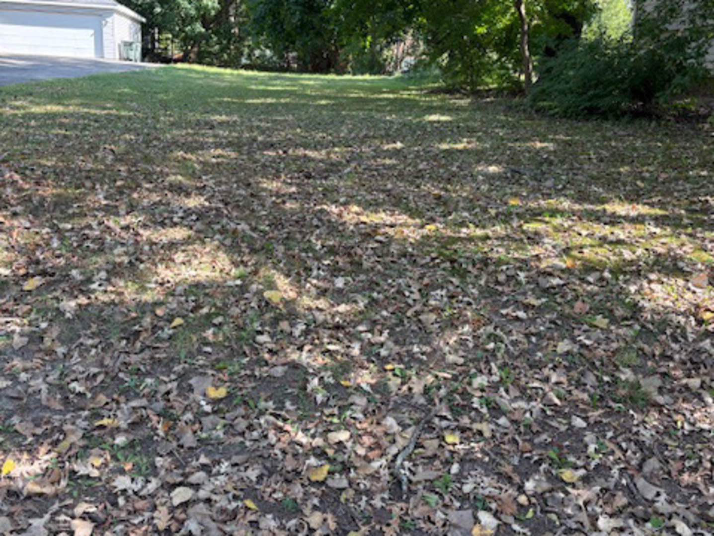 35797 N Helendale Road, Ingleside, IL 60041