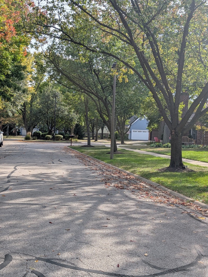 1535 WEDGEFIELD Circle #1535, Naperville, IL 60563