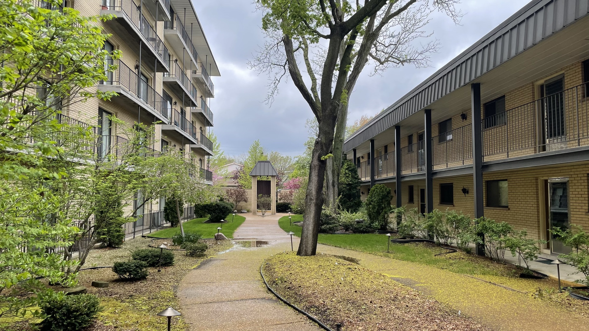 6221 N Niagara Avenue #401, Chicago, IL 60631