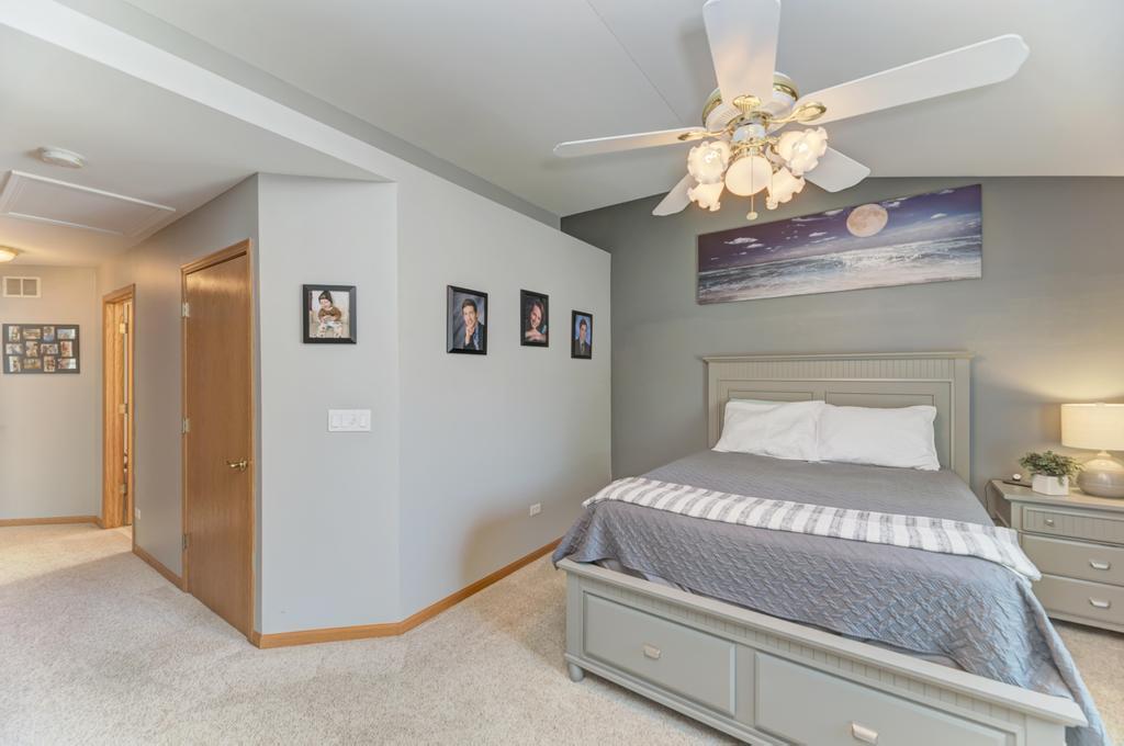 21649 W Larch Drive, Plainfield, IL 60544