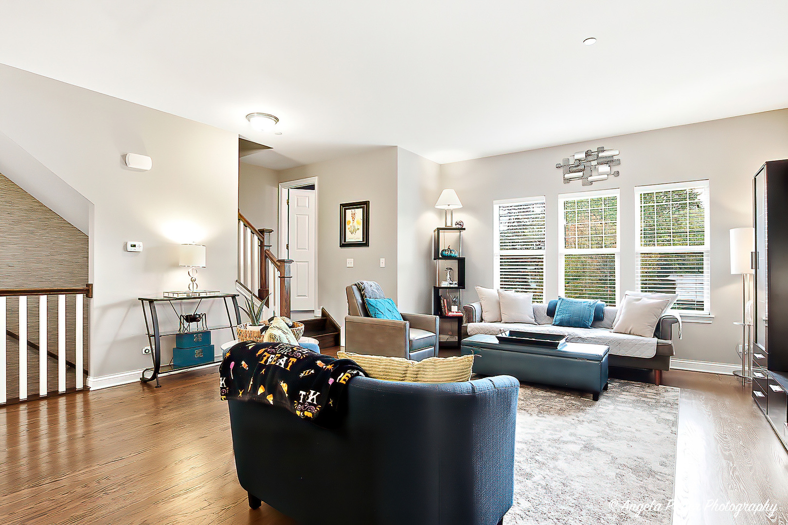 619 Parkside Court, Libertyville, IL 60048