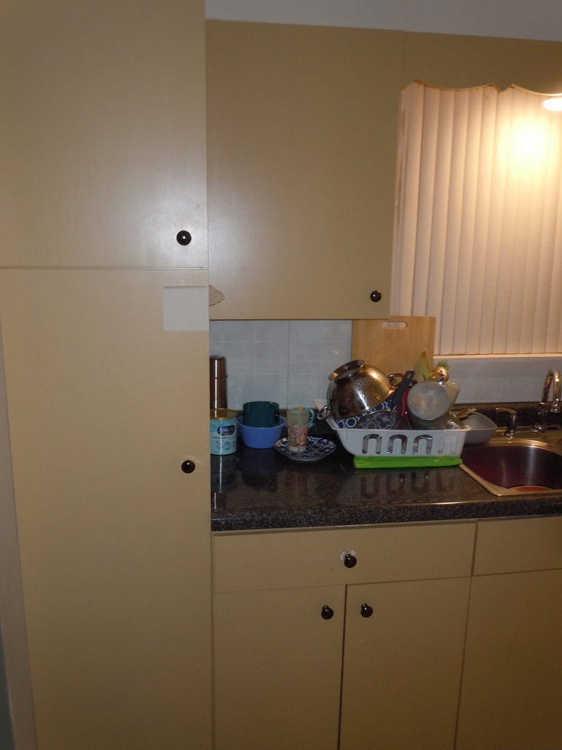 138 W Irving Park Road #1, Wood Dale, IL 60191