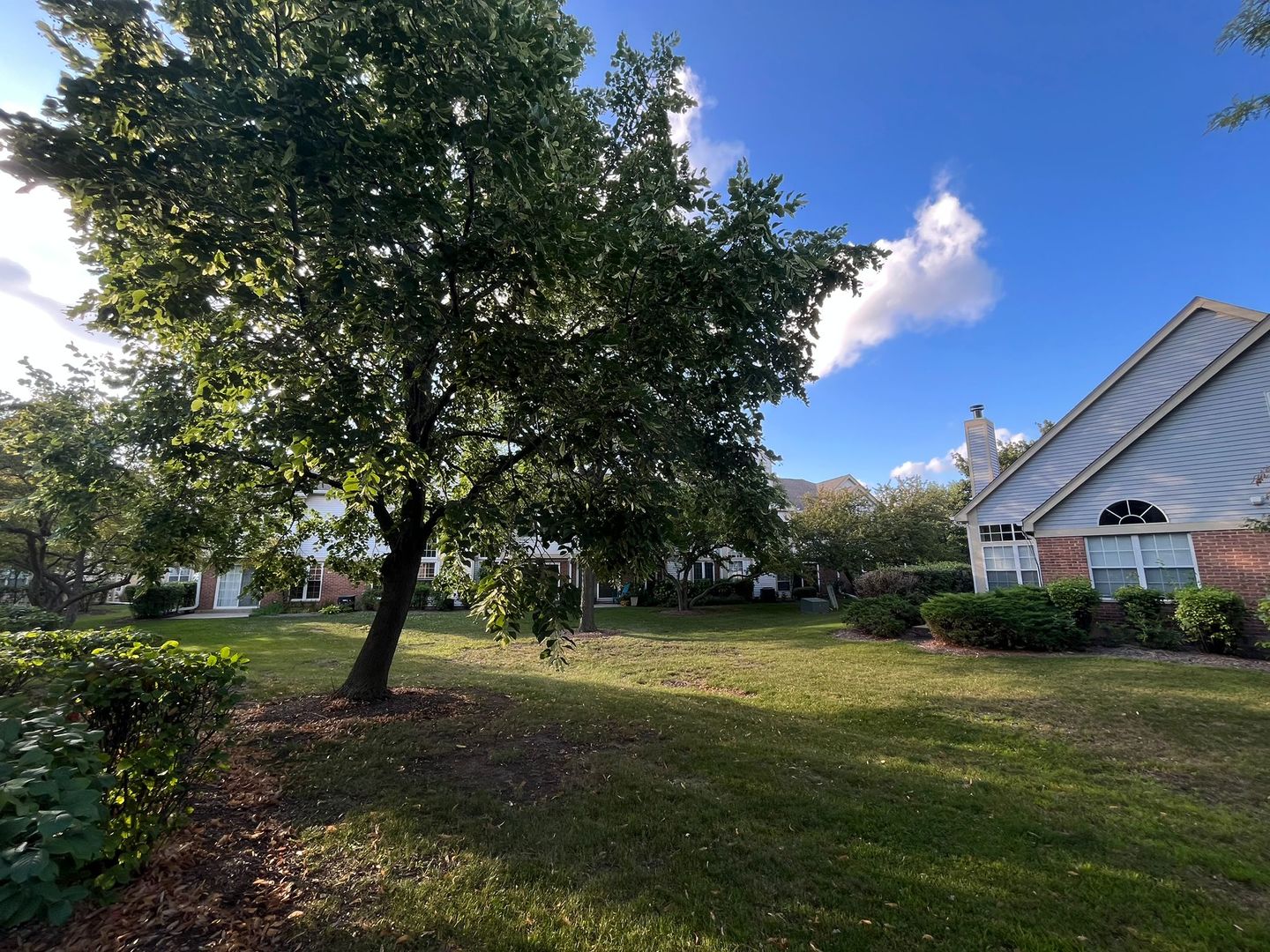 150 White Branch Court, Schaumburg, IL 60194