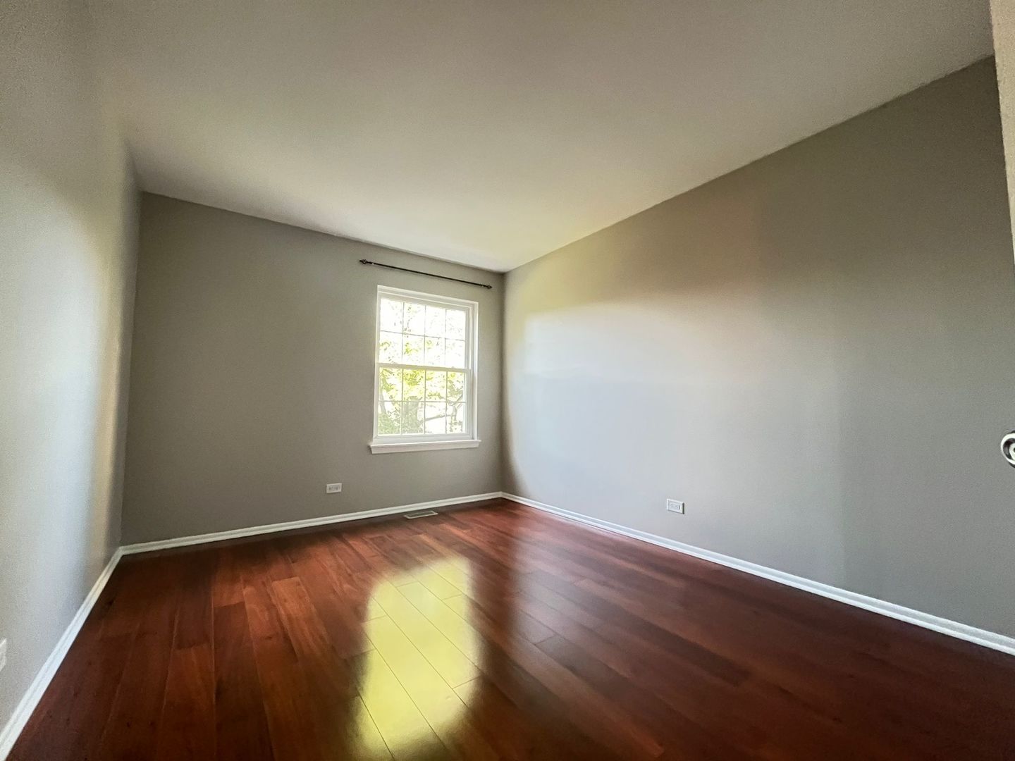 150 White Branch Court, Schaumburg, IL 60194