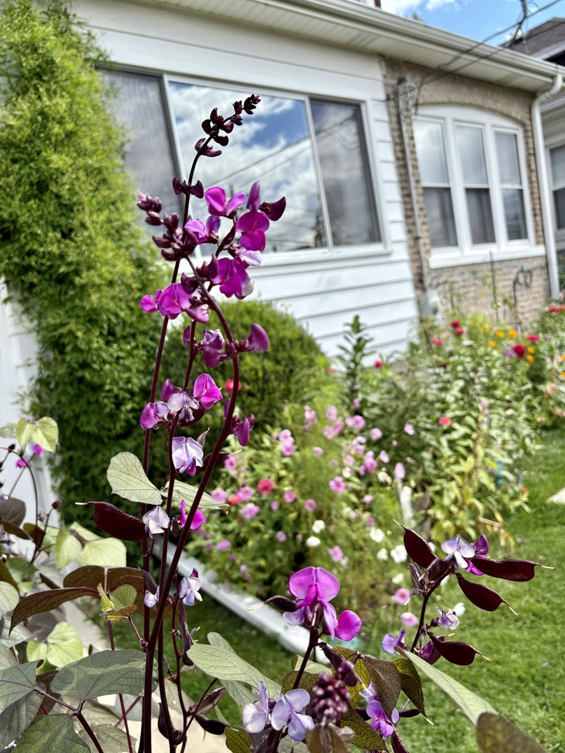 5252 N Leamington Avenue, Chicago, IL 60630