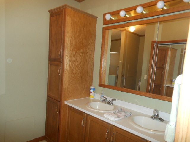 22948 S Pine Valley Drive, Frankfort, IL 60423