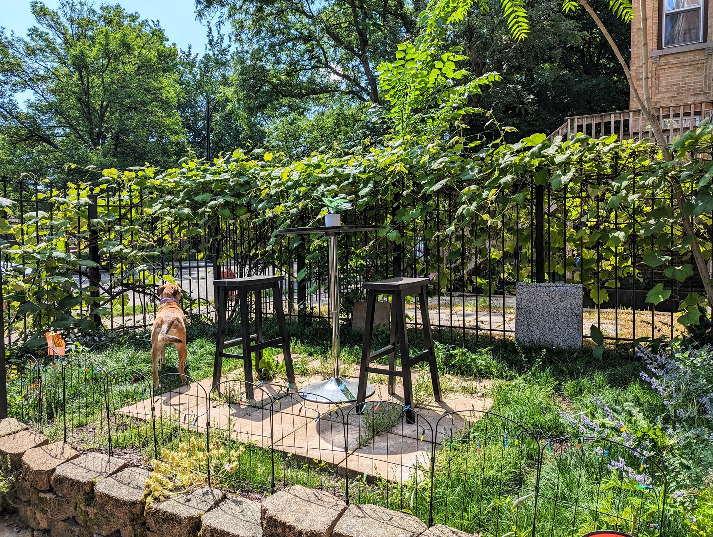 724 S Oakley Boulevard #1, Chicago, IL 60612