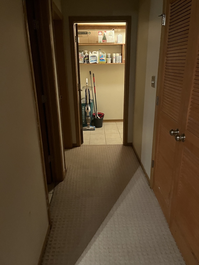 9021 S GREENWOOD Avenue, Chicago, IL 60619