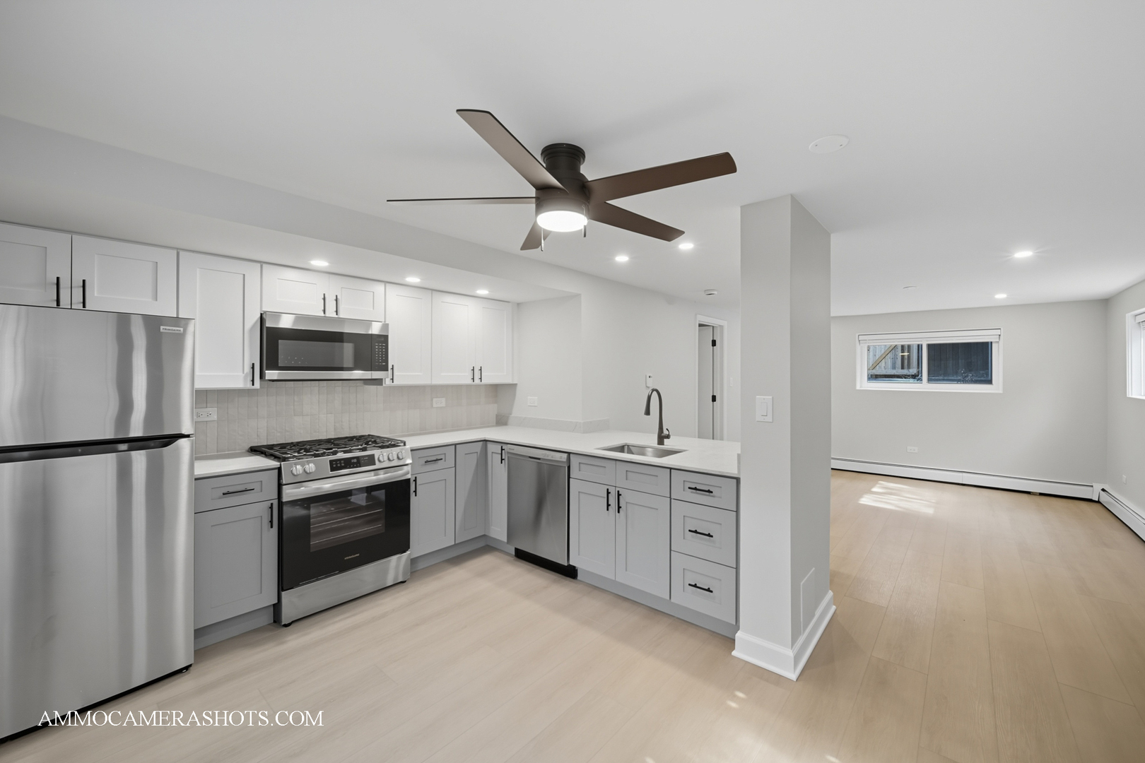 143 Ann Street #1S, Clarendon Hills, IL 60514