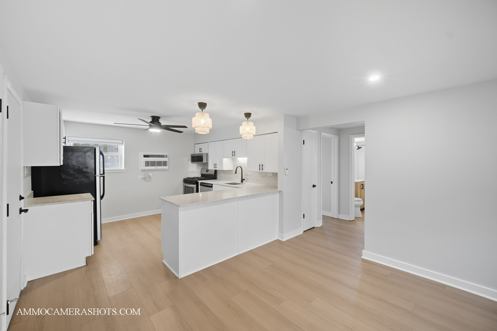 143 Ann Street #1N, Clarendon Hills, IL 60514