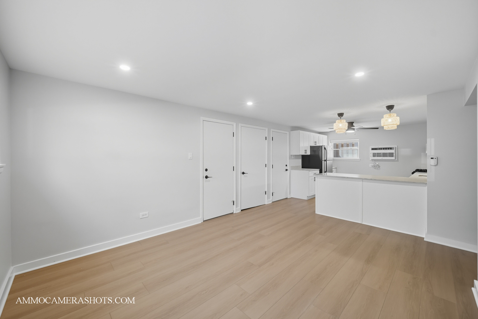 143 Ann Street #1N, Clarendon Hills, IL 60514