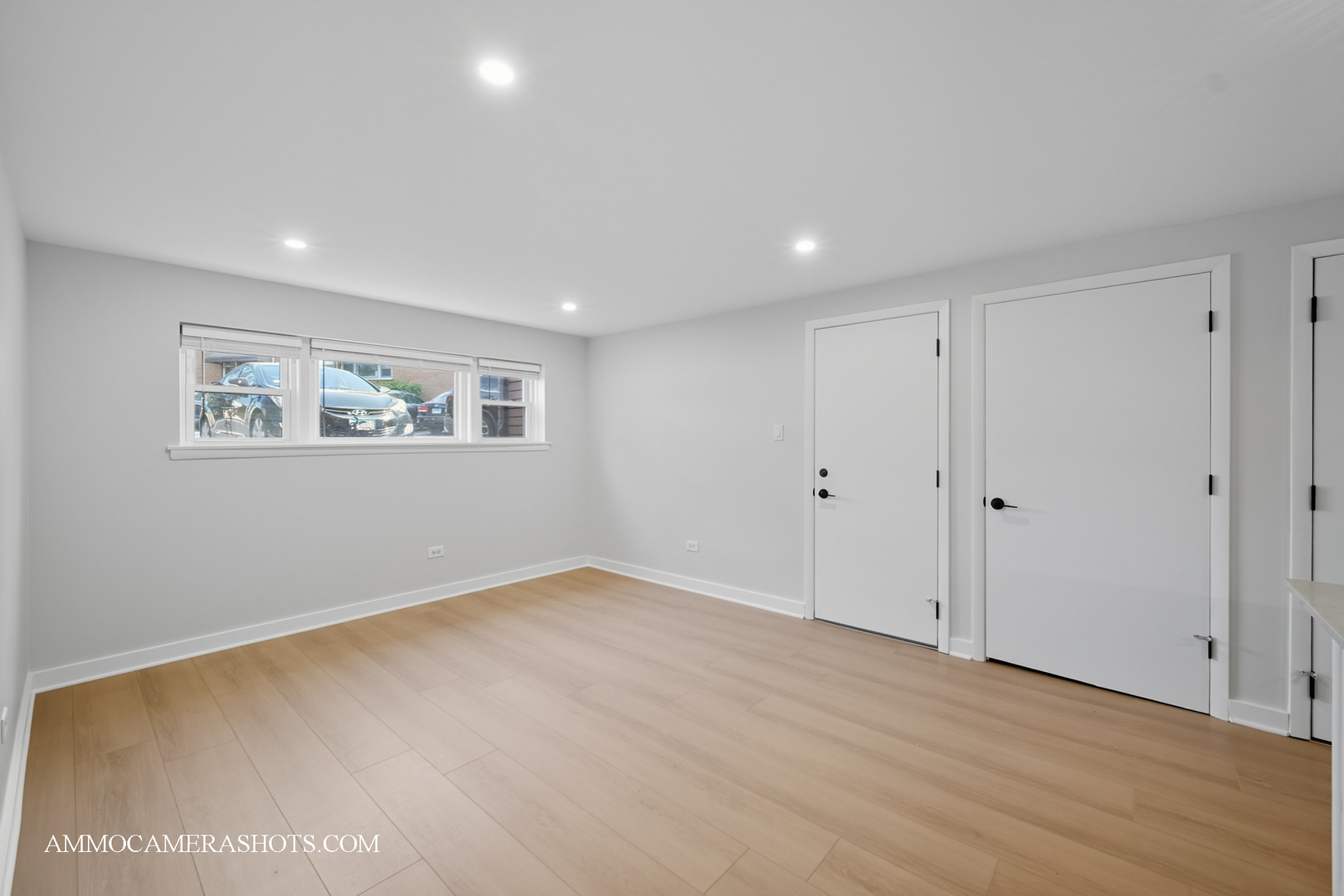 143 Ann Street #1N, Clarendon Hills, IL 60514
