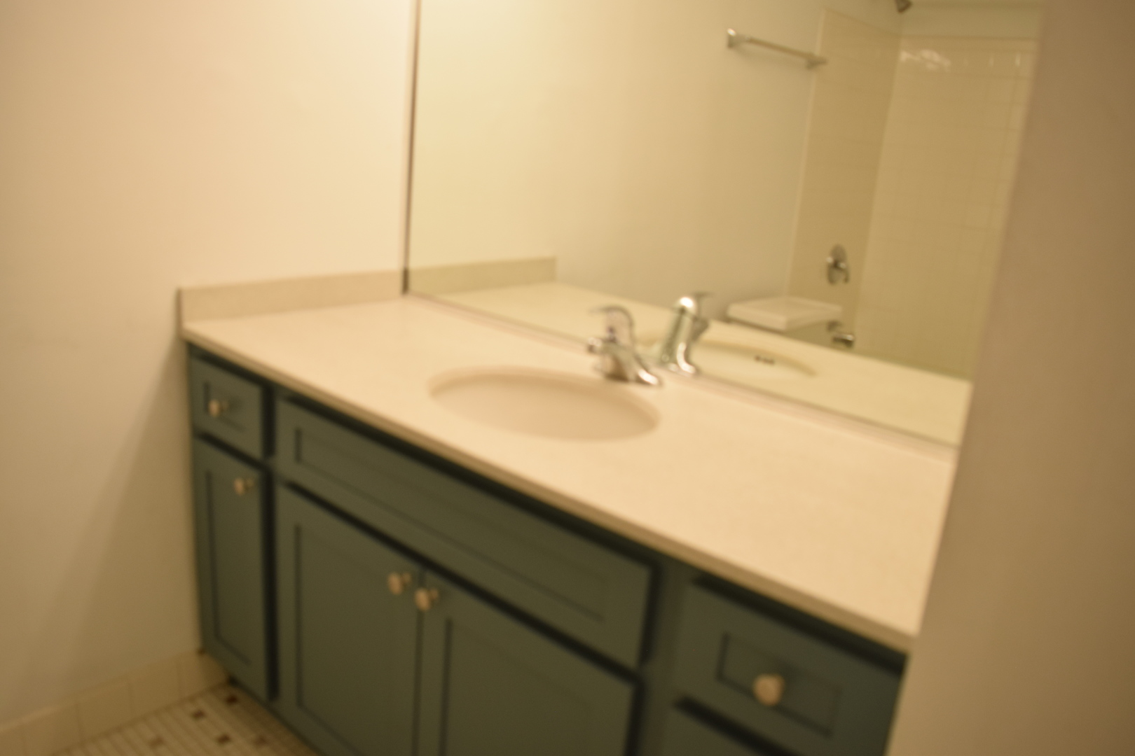 1880 Bonnie Lane #107, Hoffman Estates, IL 60169