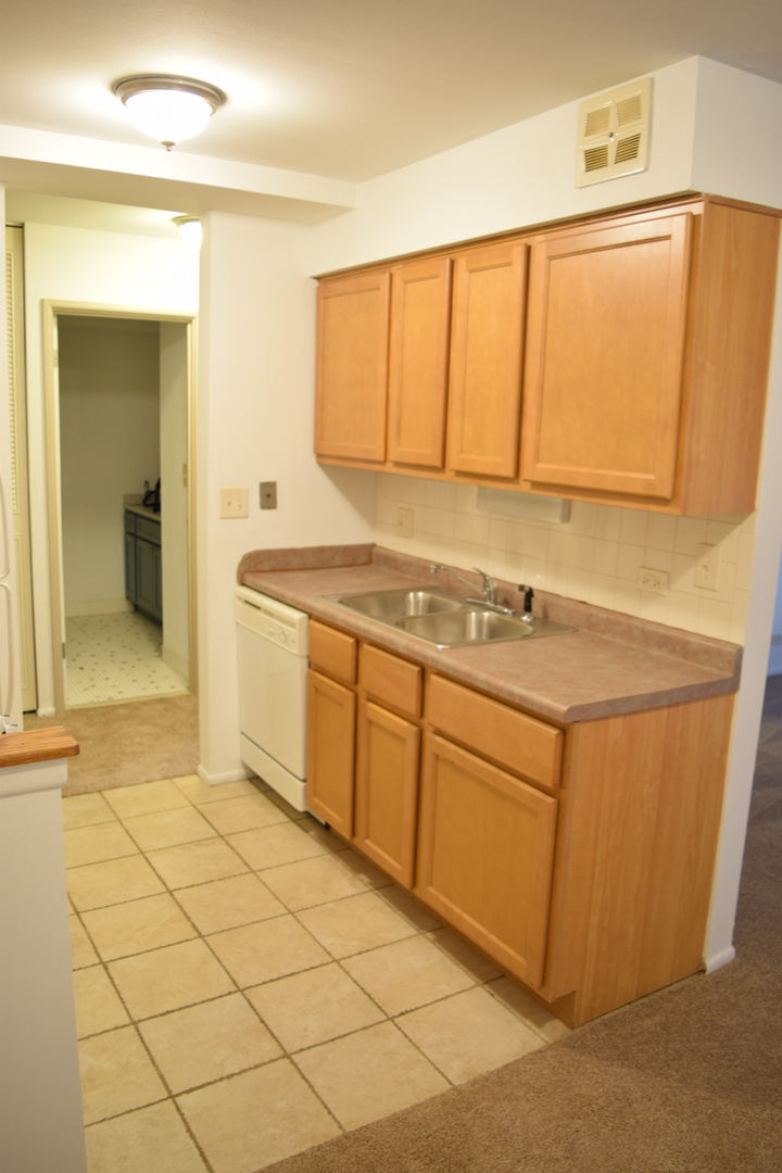 1880 Bonnie Lane #107, Hoffman Estates, IL 60169