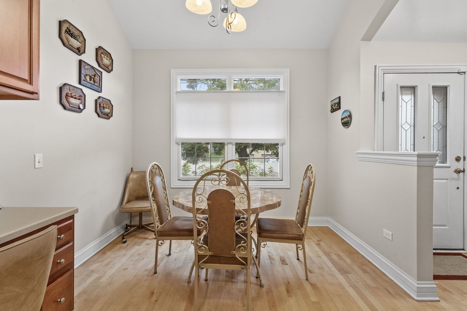722 N NORTHWEST Highway #A, Park Ridge, IL 60068