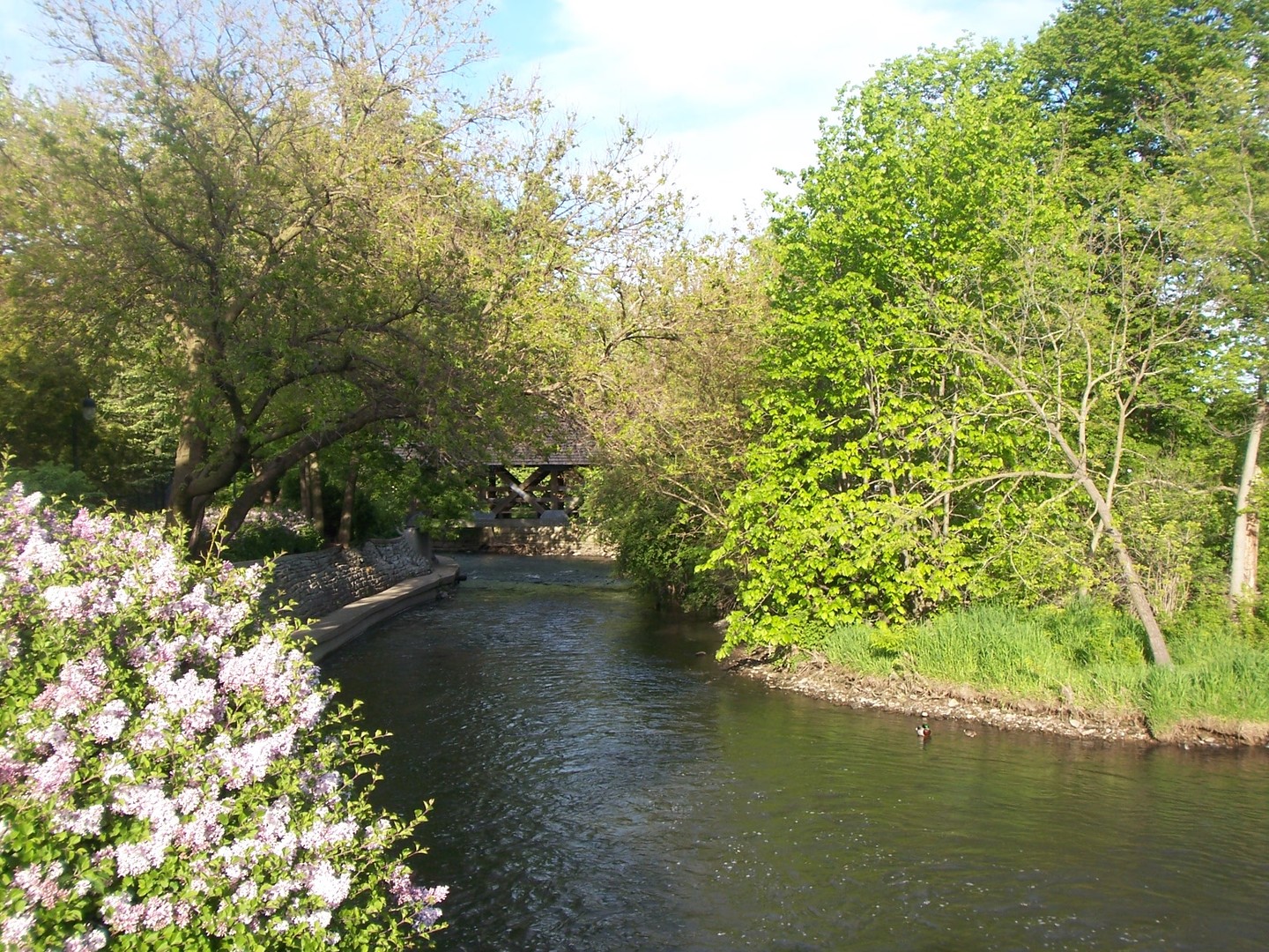 520 S Washington Street #103, Naperville, IL 60540