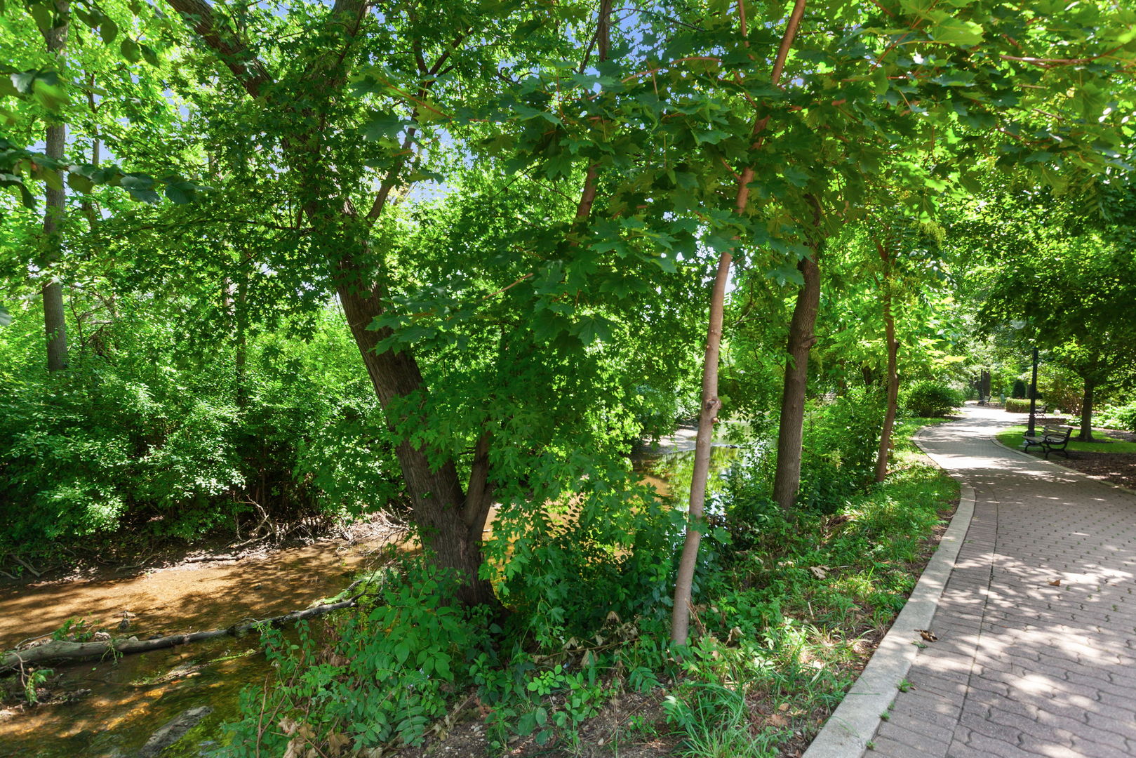 520 S Washington Street #103, Naperville, IL 60540