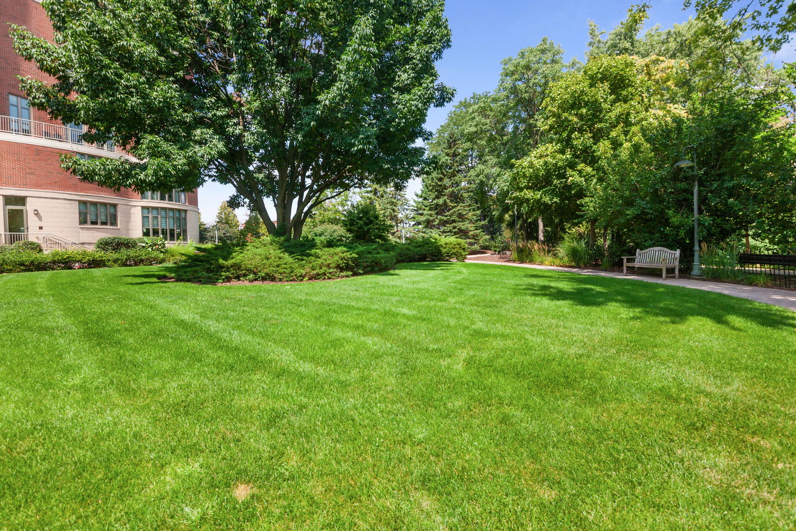 520 S Washington Street #103, Naperville, IL 60540