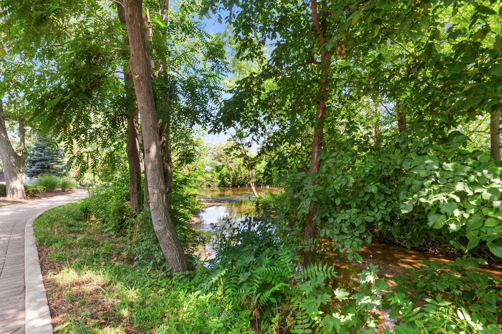 520 S Washington Street #103, Naperville, IL 60540