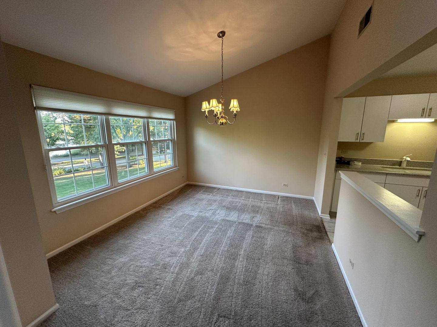 802 Butternut Lane #C, Mount Prospect, IL 60056