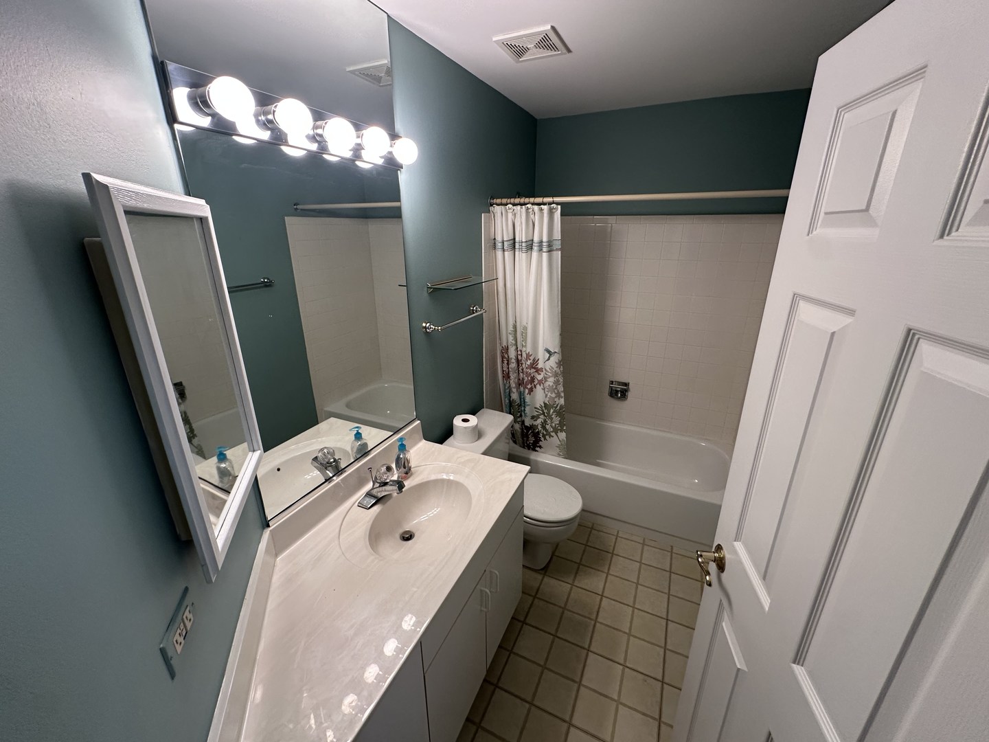 802 Butternut Lane #C, Mount Prospect, IL 60056