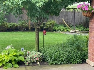 838 William Street, River Forest, IL 60305