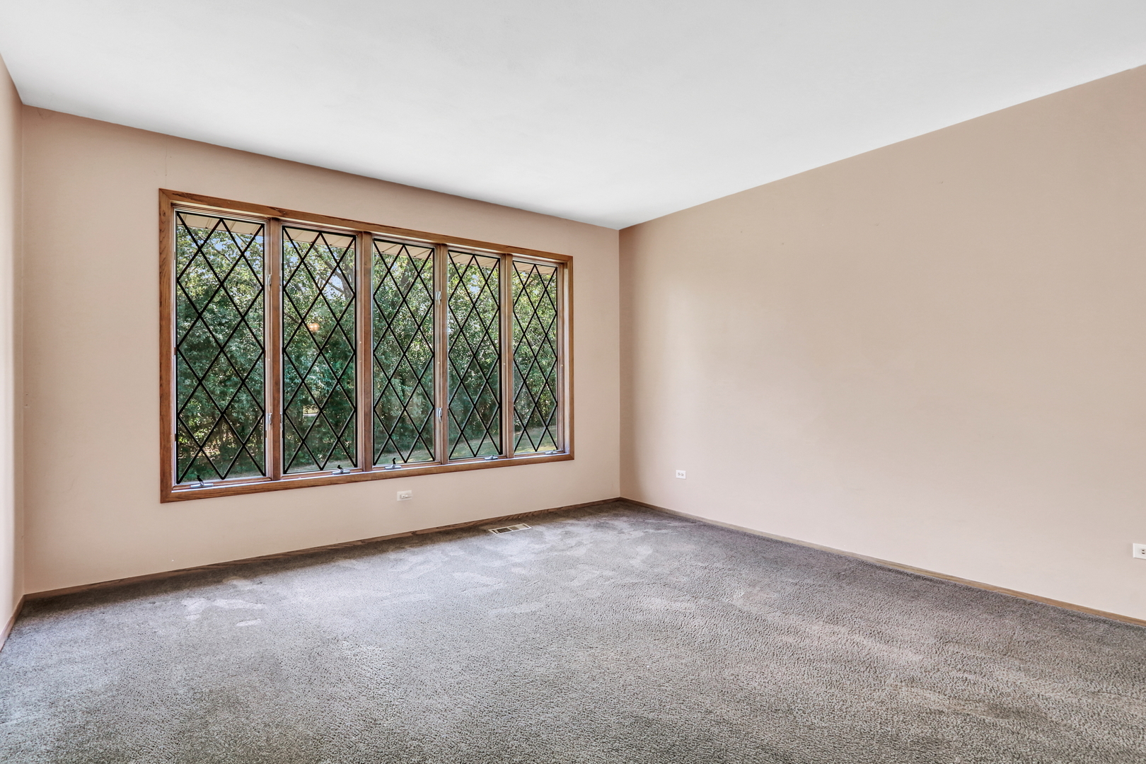 43411 N Lynn Dale Drive, Zion, IL 60099