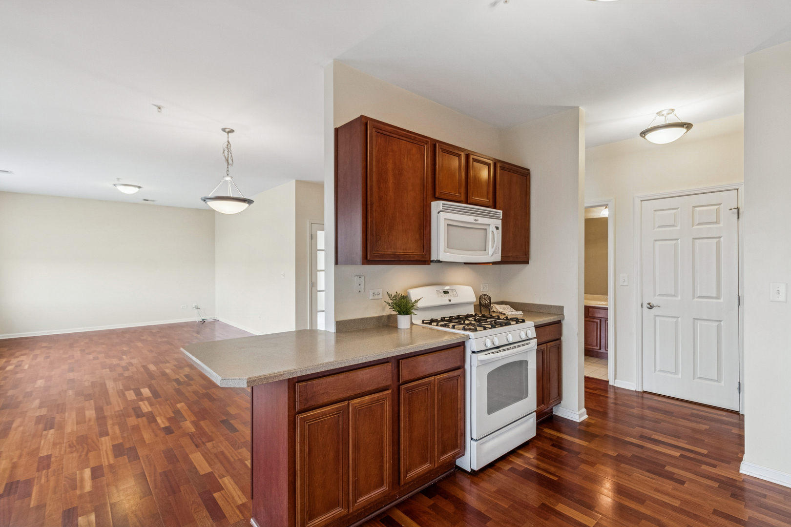 271 E Railroad Avenue #302, Bartlett, IL 60103