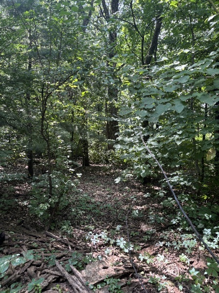 15653 W Baker Road, Manhattan, IL 60442